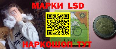 амф Камышлов
