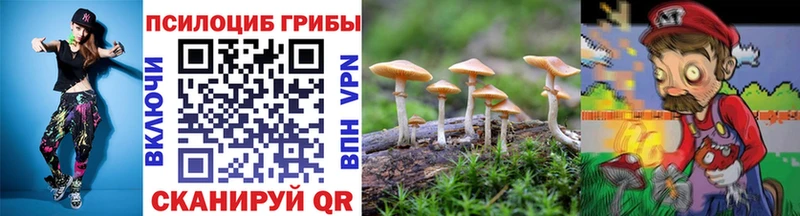 Псилоцибиновые грибы GOLDEN TEACHER наркота Крымск