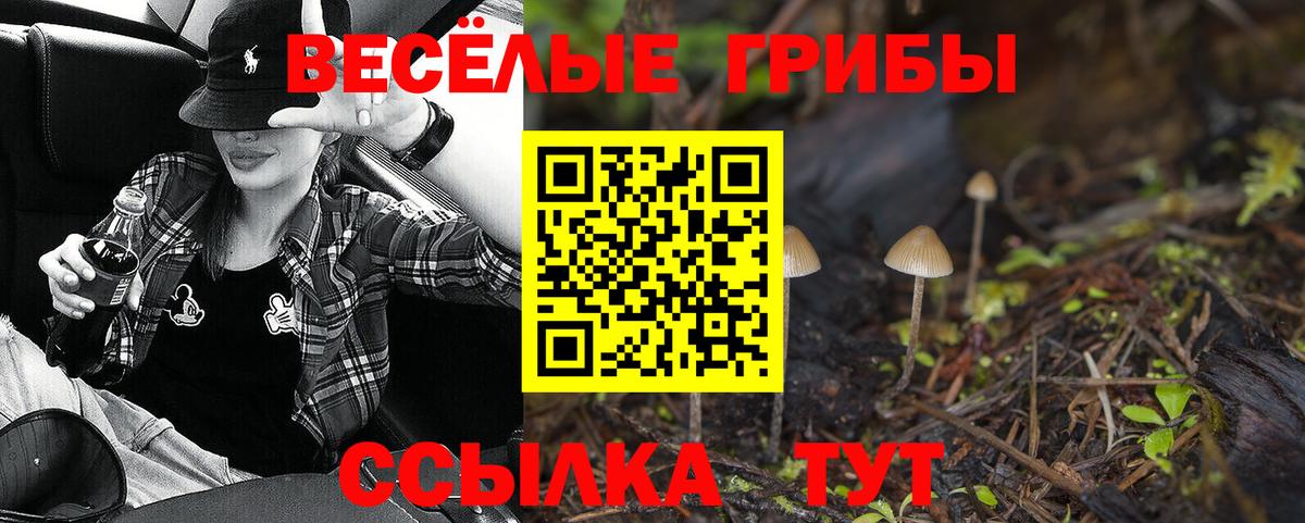Псилоцибиновые грибы мицелий  Вход с VPN  Крымск  Галлюциногенные грибы ЛСД 
