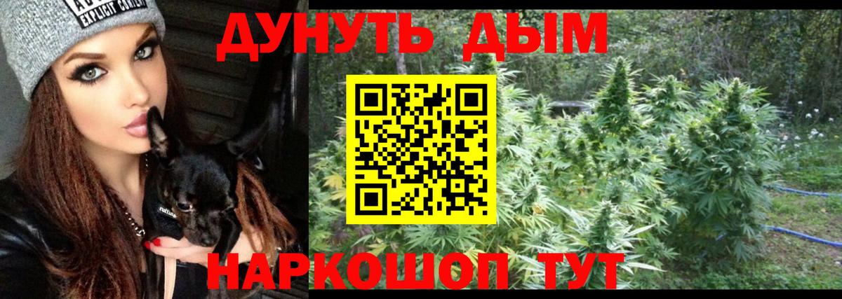 Конопля сатива  Вход с VPN  Каннабис план  Крымск 